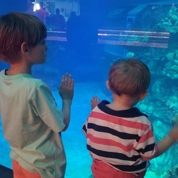 Meet your Posher, Victoria - Picture 8 of 9